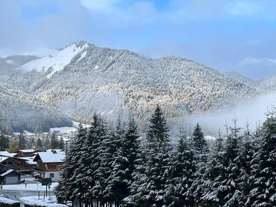 Les Chalets De Montriond B101 Extérieur photo